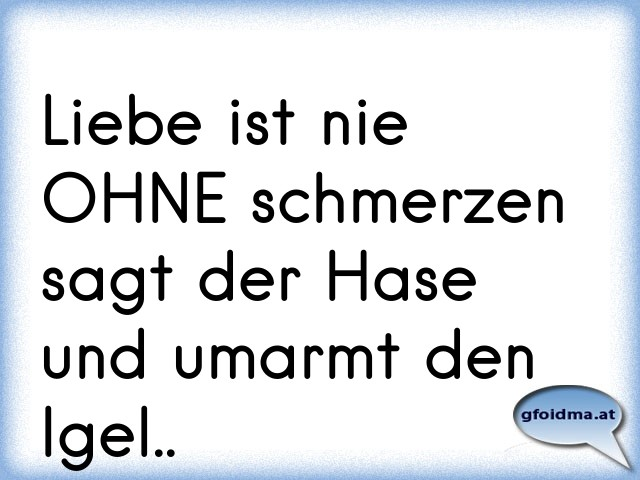 Liebe ist nie OHNE schmerzen sagt der Hase und umarmt den Igel